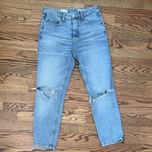 Pilcro and the Letterpress by Anthropologie High Rise Slim Size 28